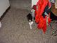 DSCF0062