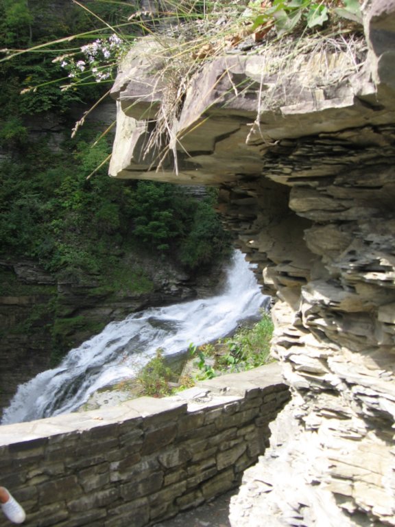 img_2798.jpg