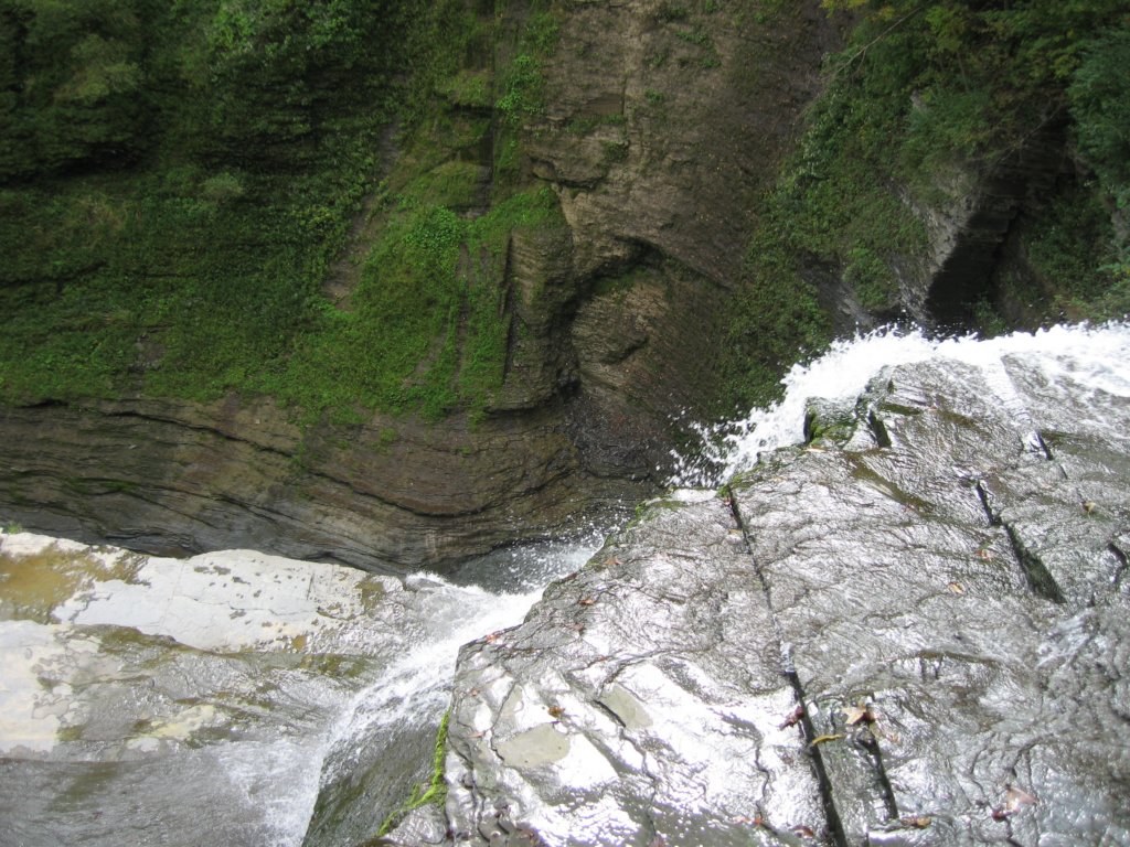 img_4892.jpg