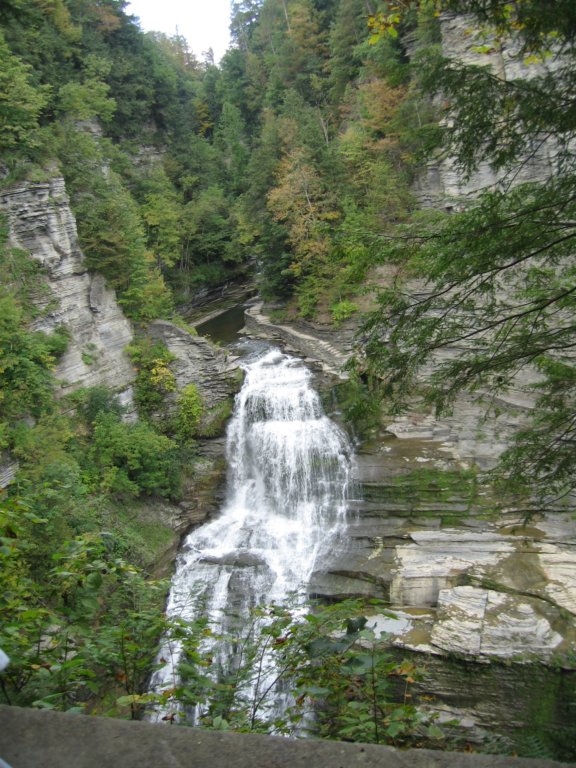 img_4904.jpg