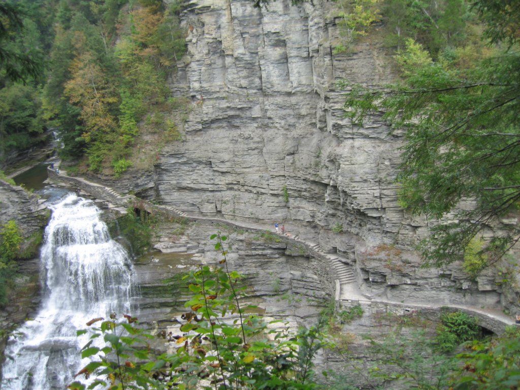 img_4909.jpg