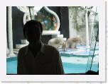 IMG_0009 * 3072 x 2304 * (2.34MB)