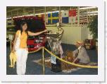 IMG_0052 * 3072 x 2304 * (4.17MB)