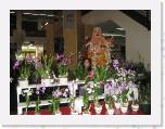 IMG_0008 * 3072 x 2304 * (3.5MB)