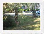 IMG_0001 * 3072 x 2304 * (4.74MB)