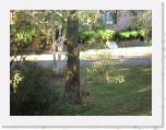 IMG_0002 * 3072 x 2304 * (4.24MB)