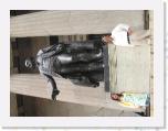 IMG_0028 * 3072 x 2304 * (3.16MB)