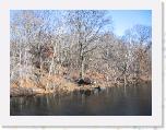 IMG_0027 * 3072 x 2304 * (5.44MB)