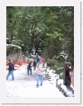 IMG_2208 * 1704 x 2272 * (1.79MB)