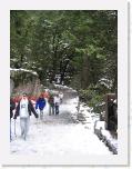 IMG_2210 * 1704 x 2272 * (2.09MB)
