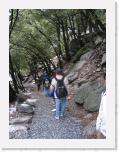 IMG_2213 * 1704 x 2272 * (1.88MB)