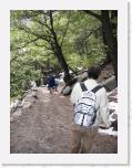 IMG_2215 * 1704 x 2272 * (2.08MB)