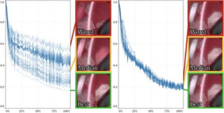 neural shading networks